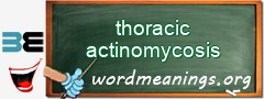 WordMeaning blackboard for thoracic actinomycosis